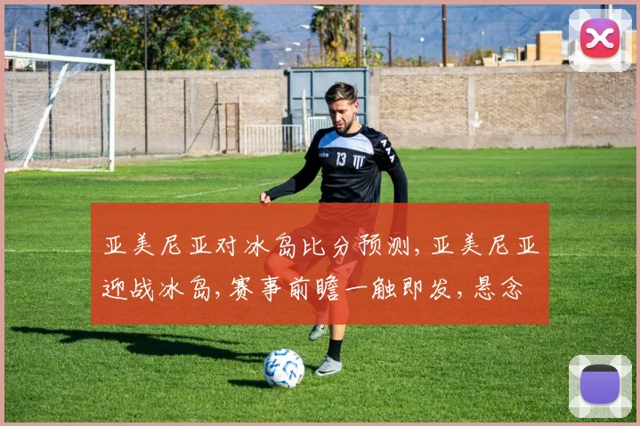 亚美尼亚对冰岛比分预测,亚美尼亚迎战冰岛,赛事前瞻一触即发,悬念重重