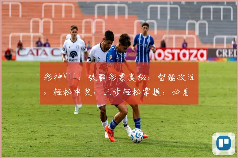 彩神Vll，破解彩票奥秘，智能投注，轻松中奖，三步轻松掌握，必看攻略