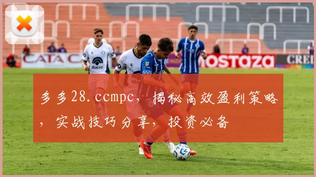 多多28.ccmpc，揭秘高效盈利策略，实战技巧分享，投资必备