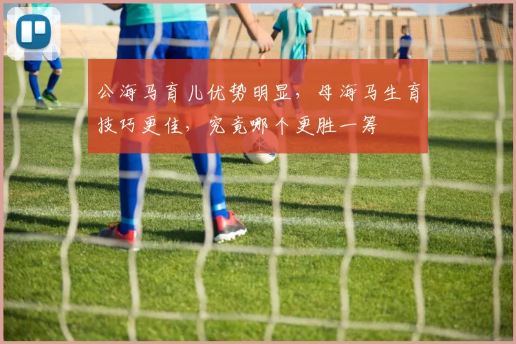 公海马育儿优势明显，母海马生育技巧更佳，究竟哪个更胜一筹