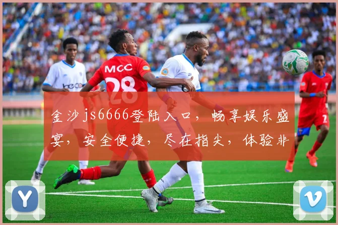 金沙js6666登陆入口，畅享娱乐盛宴，安全便捷，尽在指尖，体验非凡